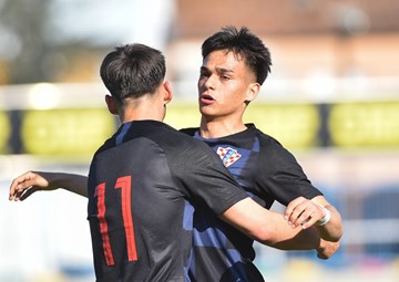 Krizmanić i Mitrović propuštaju Dubai Cup